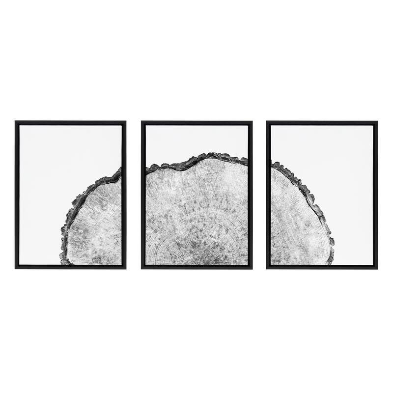 Kate and Laurel Sylvie Tree Rings Set Canvas by Emiko and Mark Franzen