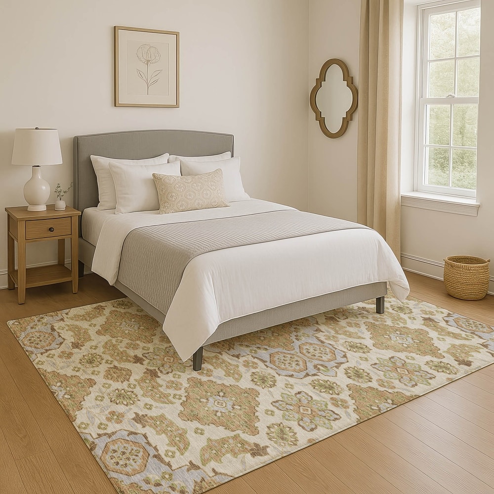 Premium Washable Super Soft Classic Traditional Mayfield Rug