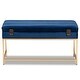 preview thumbnail 15 of 19, Aliana Glam and Luxe Velvet and Gold Metal Large Storage Ottoman