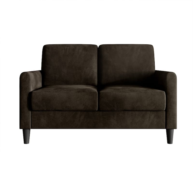 Clayfell Goliad Velvet Arm Loveseat with Pocket Spring, Soft Cushions, Clean Lines Design