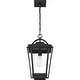 preview thumbnail 3 of 5, Darius 1-Light Outdoor Hanging Lantern in Earth Black