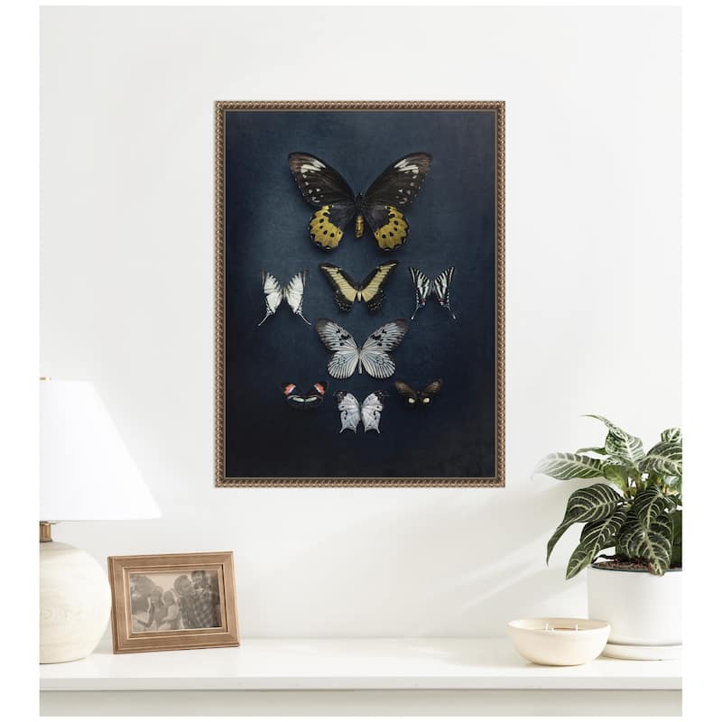 Kate and Laurel Butterfly Study Dark by Emiko and Mark Franzen F2 Images Framed Canvas Wall Art Print