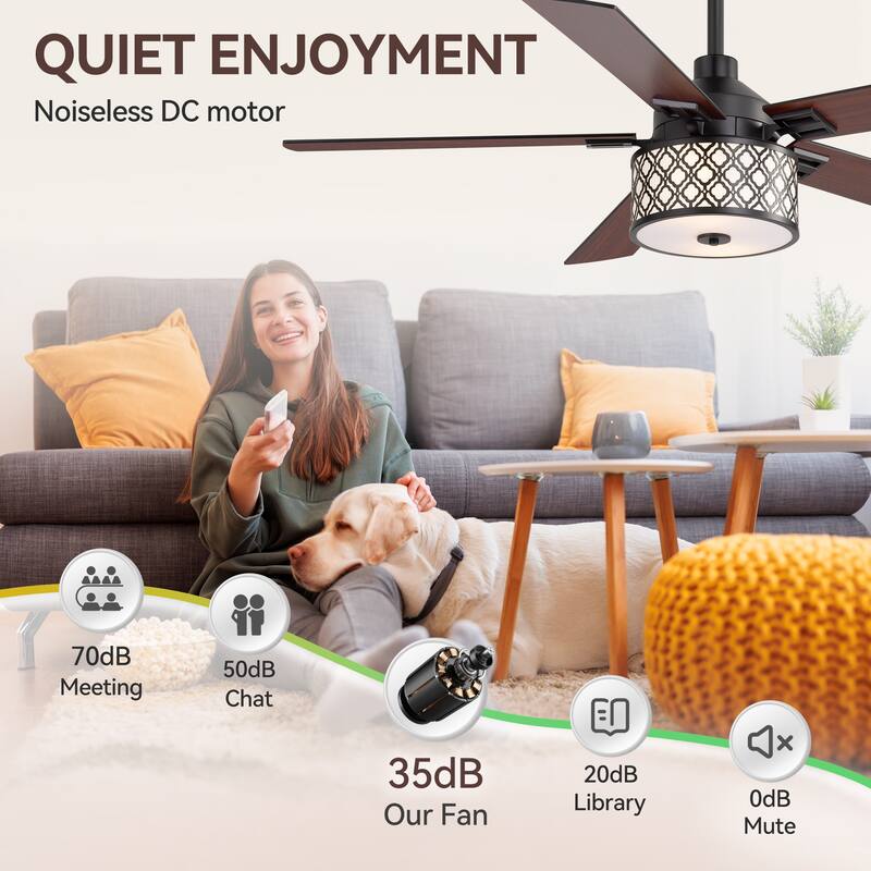 52" Reversible 5-Blade Caged Ceiling Fan with Light and Remote