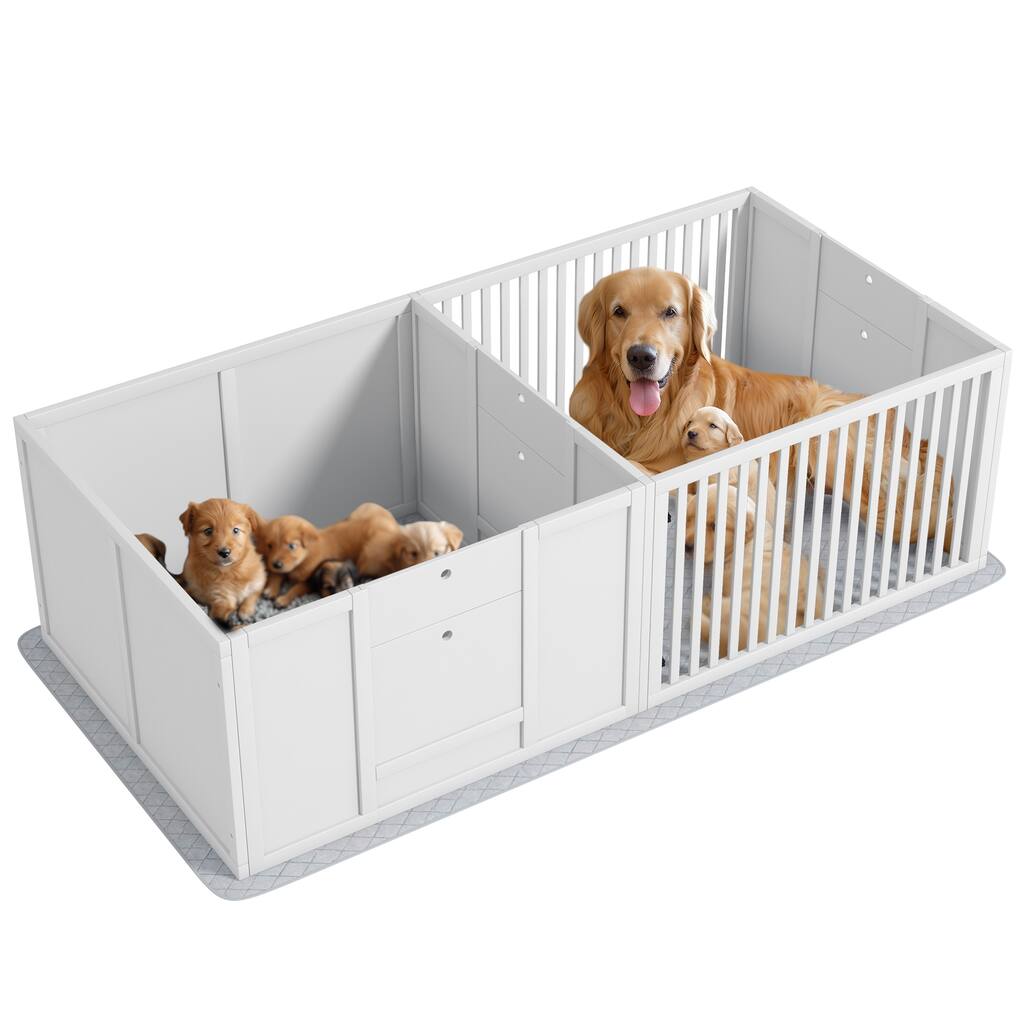 Box for Dogs, Dog Box with Waterproof Pee Pad & Adjustable Door for Small, Medium & Large Breed Dogs, 65" x 31.5"