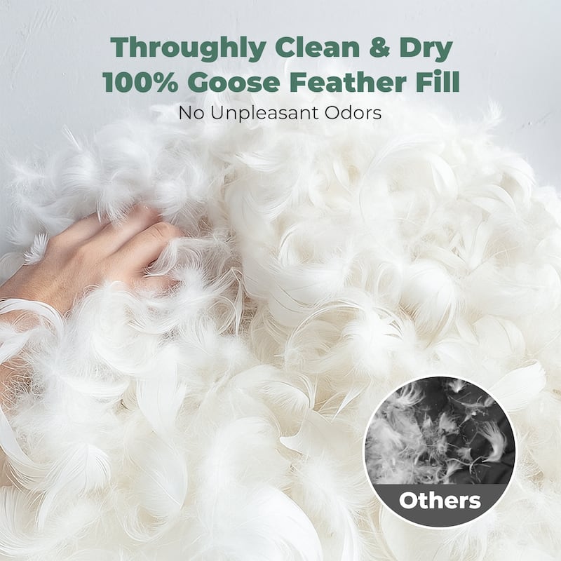 2 Pack Hotel Quality Goose Feather Bed Pillows for Side & Back Sleepers