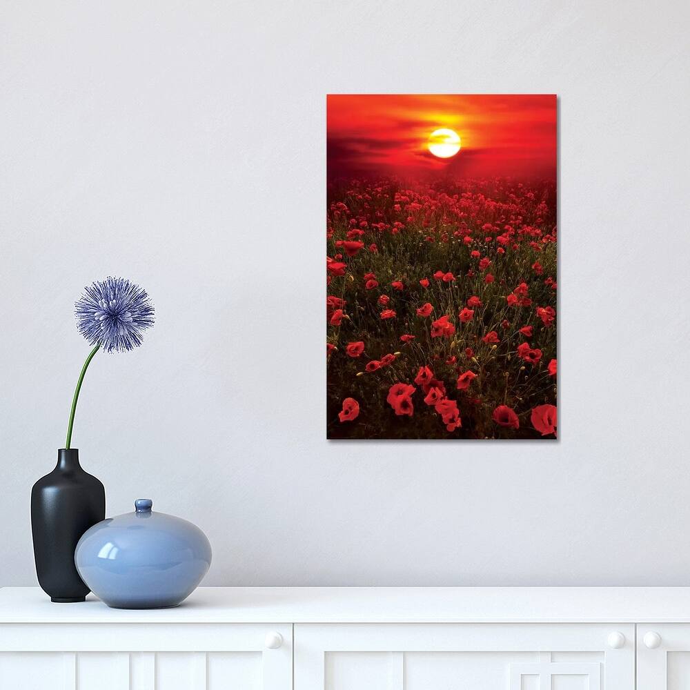 iCanvas "Warm Sunset" by Marco Carmassi Canvas Print