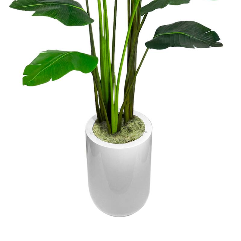 5.5 ft Bird of Paradise Tree in a Round Fiberstone Container - Green