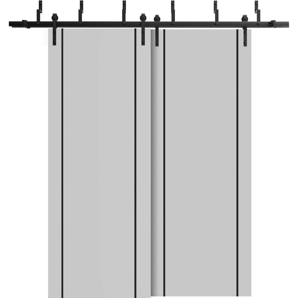 Barn Bypass Doors 36 x 80 Planum 0016 Grey Matte with Sturdy 6.6ft