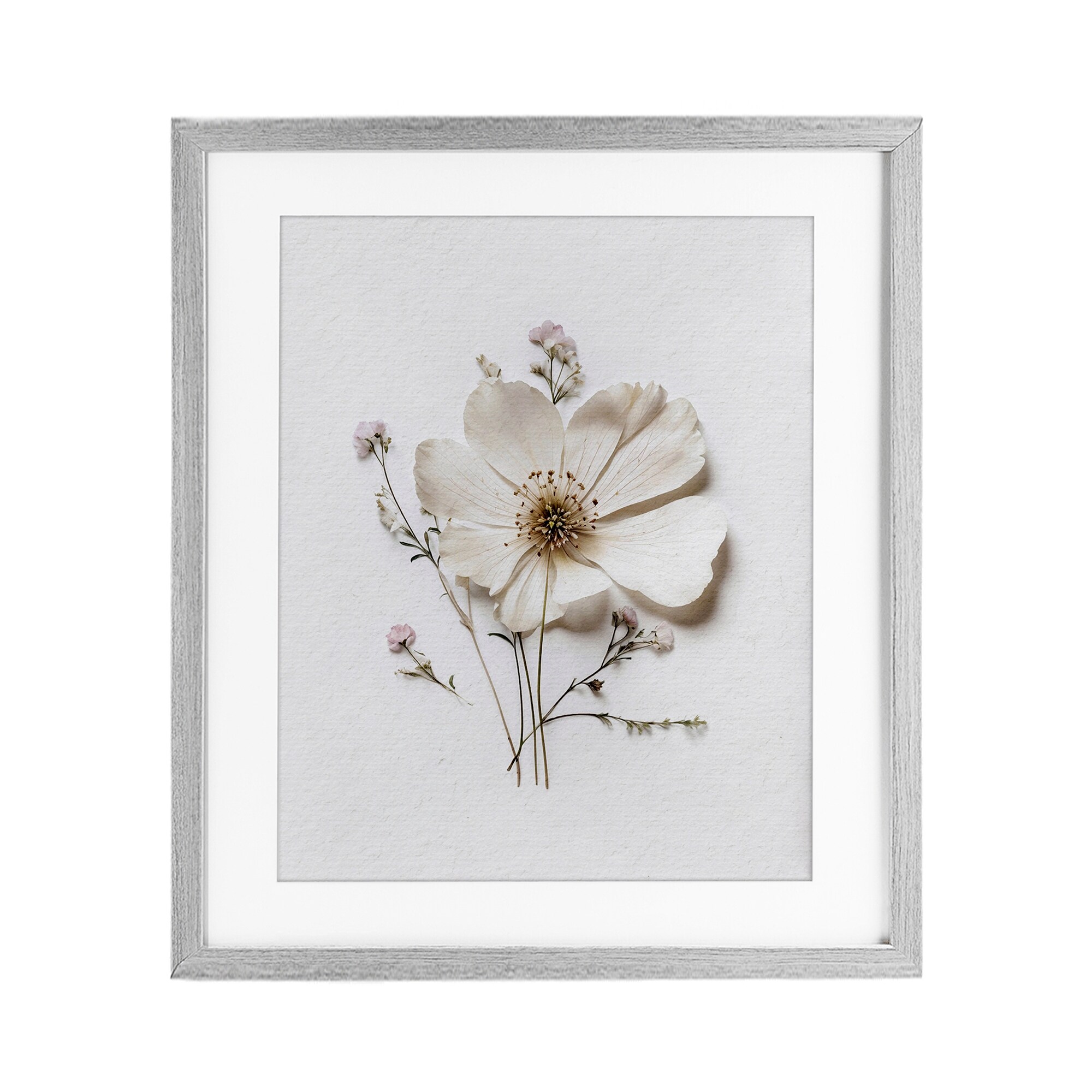 Stupell Simple Pressed Cottage Flower Under Glass Framed Design By Lettered and Lined