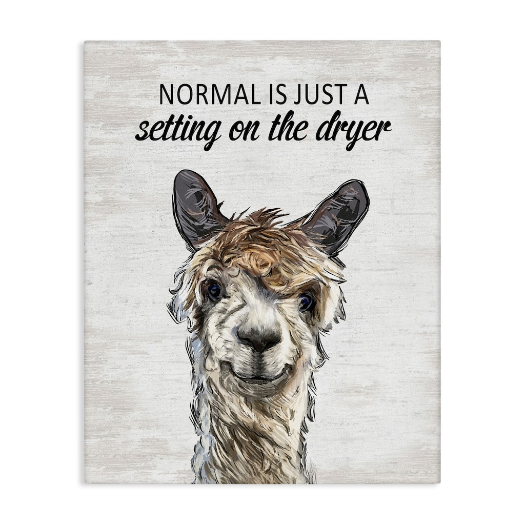 Stupell Normal is Just Dyer Setting Canvas Wall Art Design By Lettered and Lined