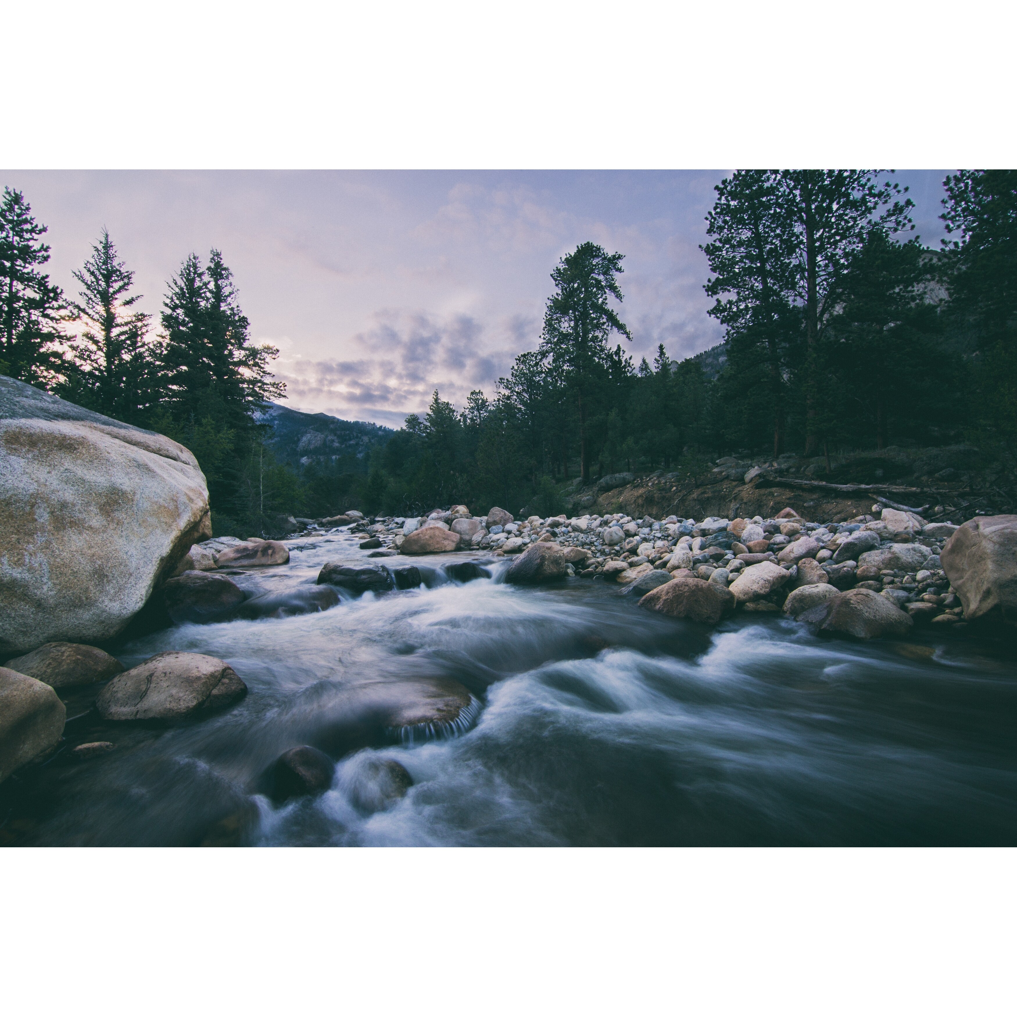 Nature Tree Rocky Mountain Photograph Art Print Wall Artwork Decor Overstock 27670033