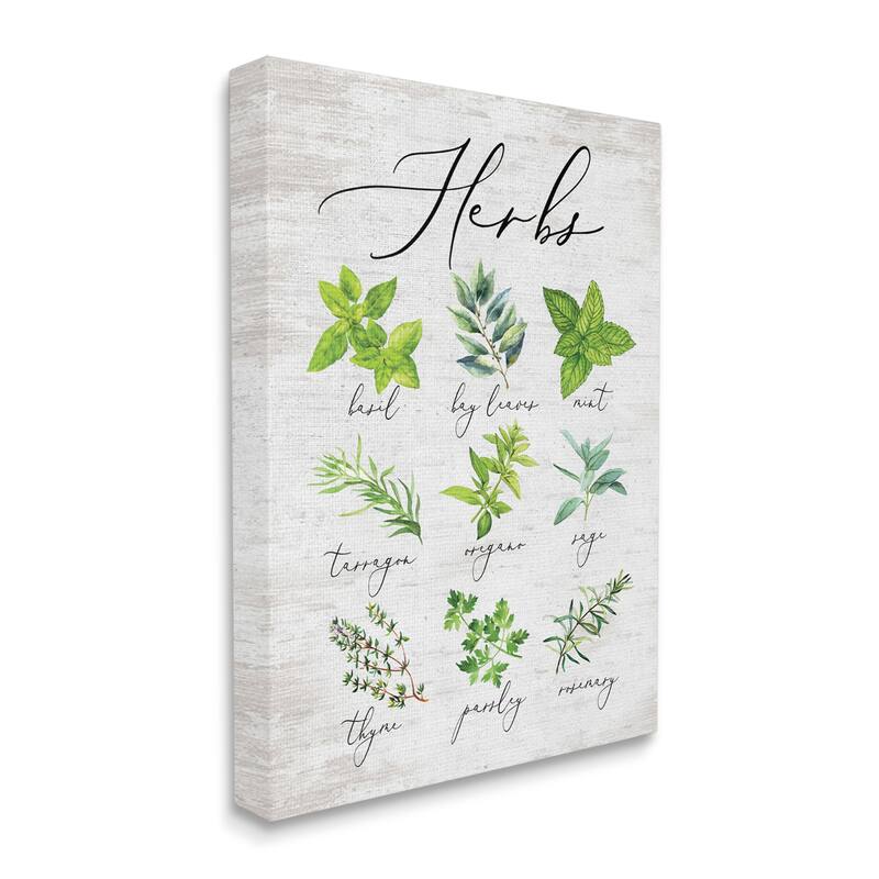 Stupell Kitchen Herb Reference Chart Garden Fresh Home Seasoning Canvas Wall Art - Green