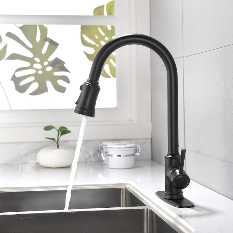 High Arc Stainless Steel Kitchen Faucet with Pull Down Sprayer