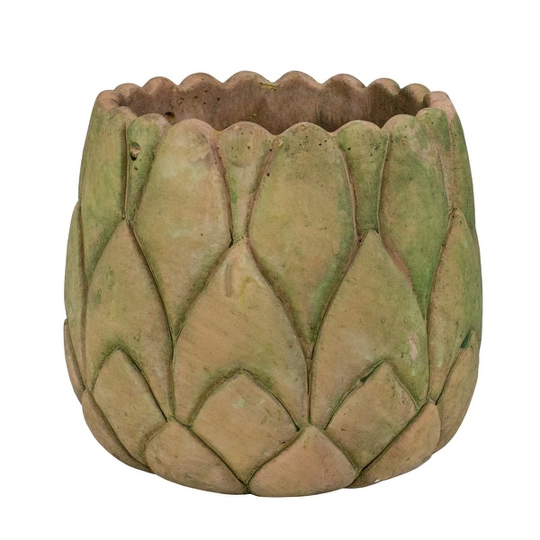 pot succulent Crassula Ivory Towers Crassula Conjuncta Succulent For Sale 2 inch / Clay Pot by Succulents Box