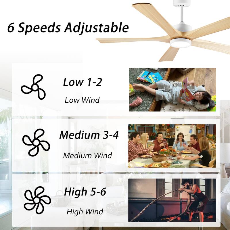 60-Inch Ceiling Fan with Light, 5 Solid Wood Blades, Downrod Mount for Sloped Ceiling ≤15°, Quiet Reversible DC Motor