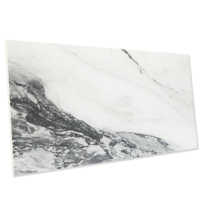 Merola Tile Touche Zebre 11-3/4" x 23-1/2" Porcelain Floor and Wall Tile