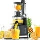 preview thumbnail 1 of 3, 3.2-inch Chute, Cold Press Masticating juicer Black