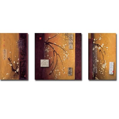 Oriental Blossoms I, II, & III by Don Li-Leger 3-pc Gallery Wrapped Canvas Giclee Set (30 in x 66 in Overall Size)