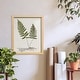 preview thumbnail 116 of 138, Nature Printed Ferns IX -Framed Print w/glass-Cherry Red