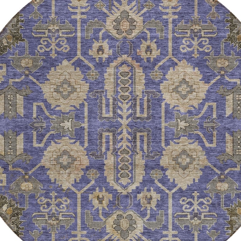 HomeRoots Oriental Traditional Rectangle Outdoor Rug