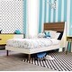 preview thumbnail 1 of 15, Taylor & Olive Gilia Wood Full Panel Bed Walnut Finish - White