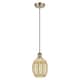 Option Antique Brass / Mercury