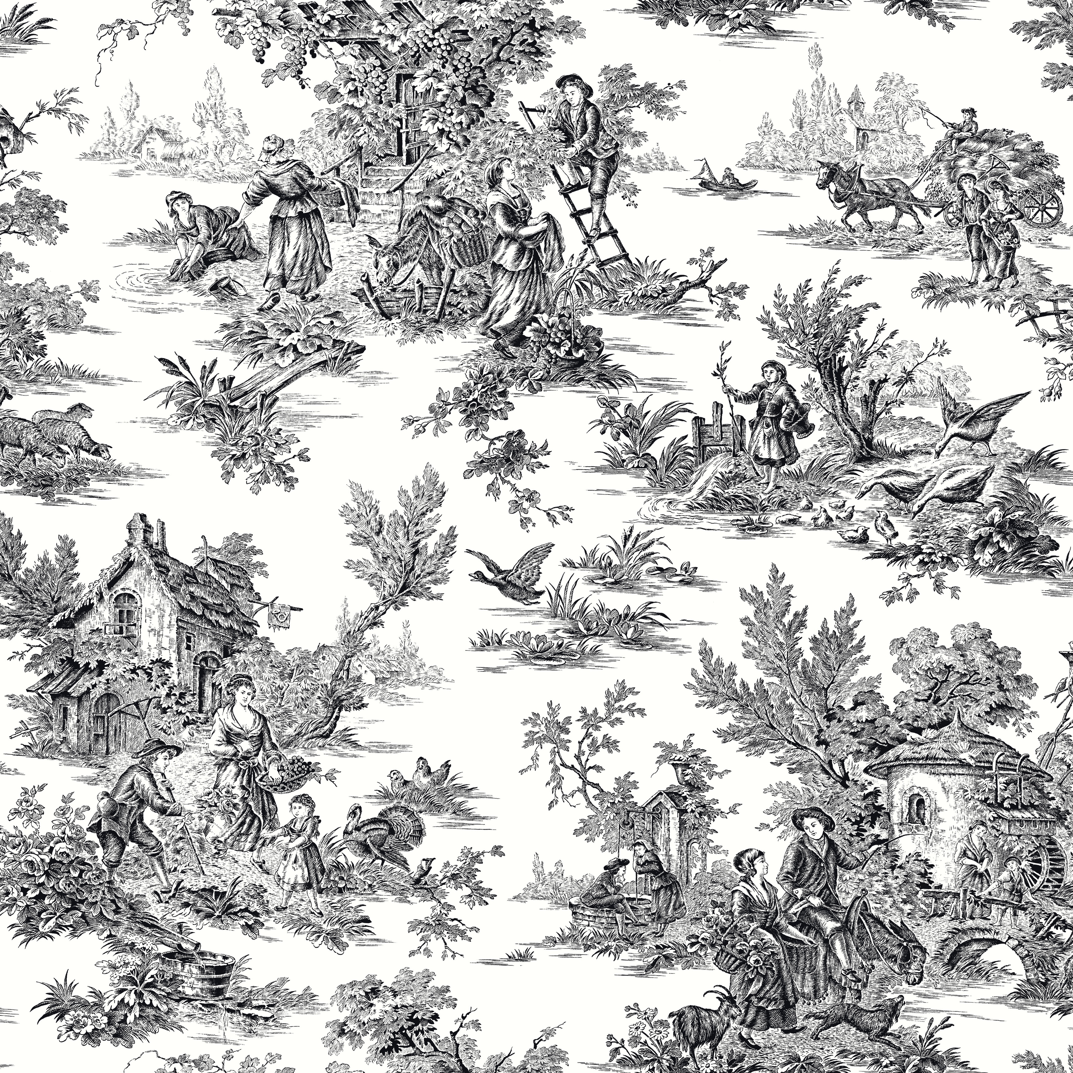 York Wallcoverings Campagne Toile Black & White Wallpaper