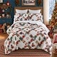 preview thumbnail 1 of 7, Your Lifestyle by Donna Sharp Holiday Love Quilt Collection