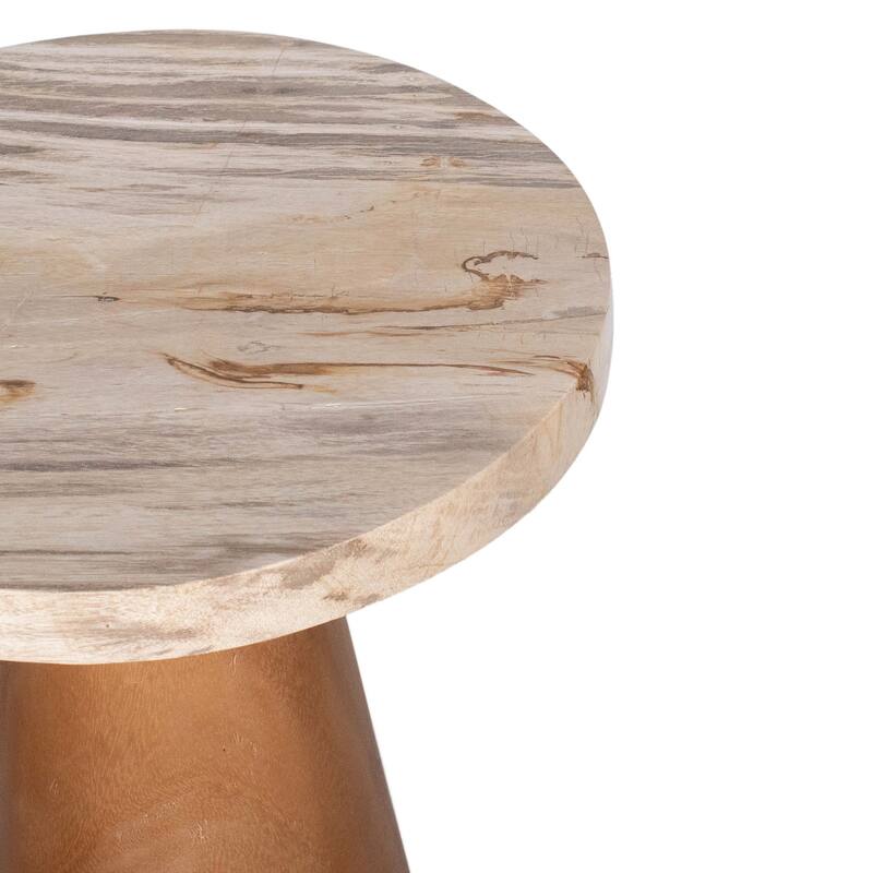 Kayu Petrified Wood Pedestal Table by East at Main