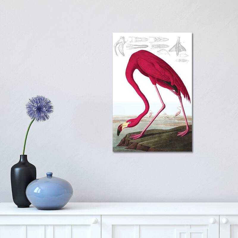 iCanvas "American Flamingo (Illustration From The Birds Of America)" by John James Audubon Canvas Print - 18x12x1.5