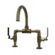 Option Antique Brass