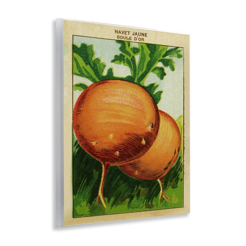 Stupell Country Vintage Onions Wall Plaque Art Design By Lil' Rue