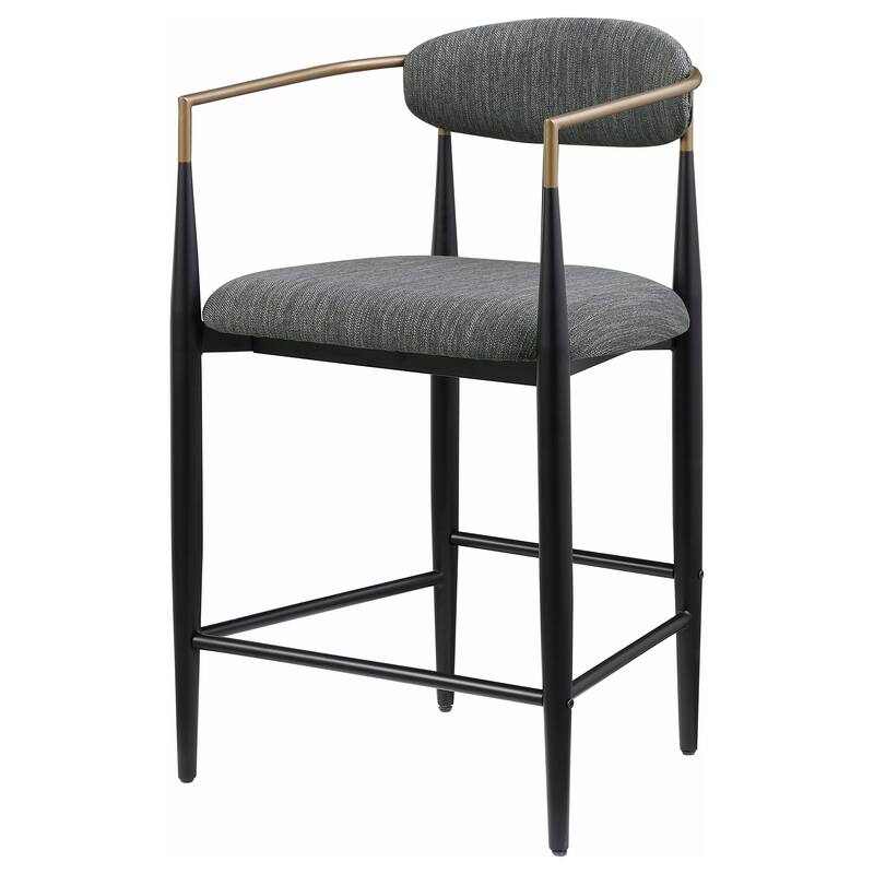 Tina Fabric Upholstered Metal Armrests Chairs (Set of 2)