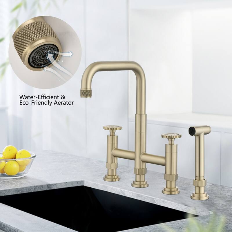 Dornberg 2 Handles Bridge Kitchen Faucet with Side Sprayer