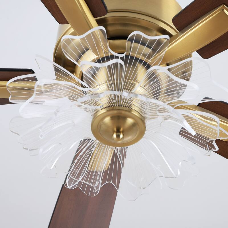 52" Modern Gold Acylic Flower Diammable Ceiling Fan with Light and Remote