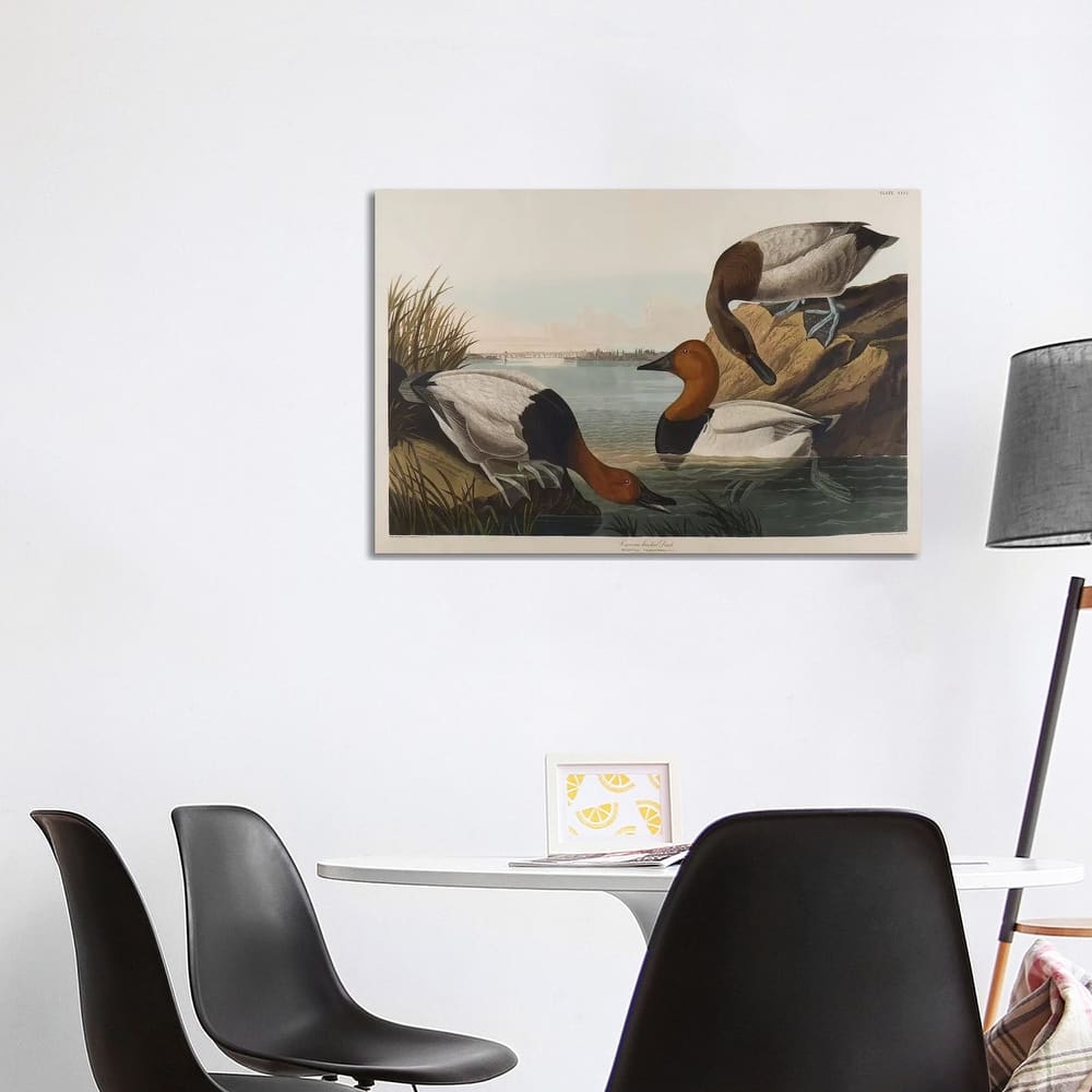 iCanvas "Canvas Backed Duck, 1836" by John James Audubon Canvas Print