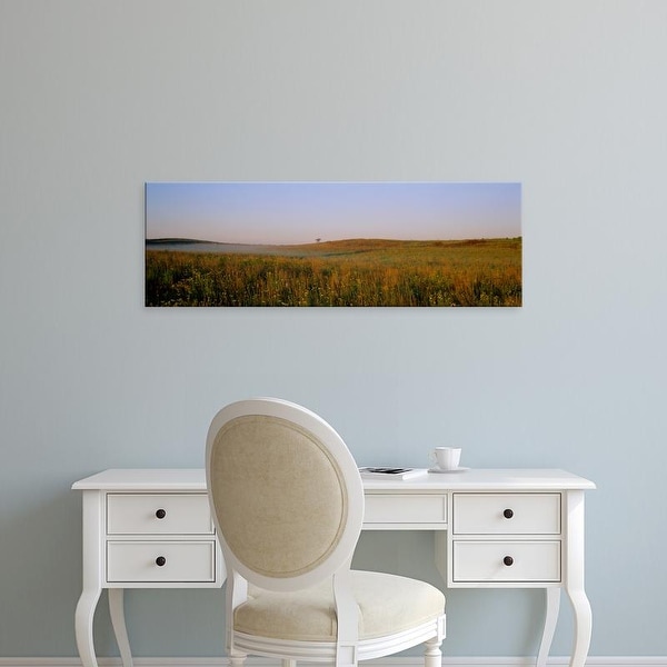 Easy Art Prints Panoramic Images's 'Tall grass on a landscape, Illinois, USA' Premium Canvas Art