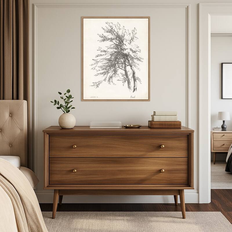 Beech Tree Study (23 x 28 in.), Framed Canvas Wall Art Print