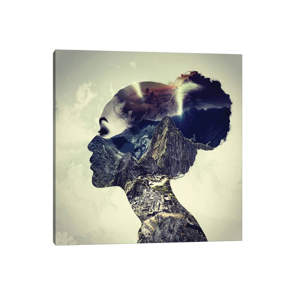 iCanvas "Headache" by Paul Haag Canvas Print