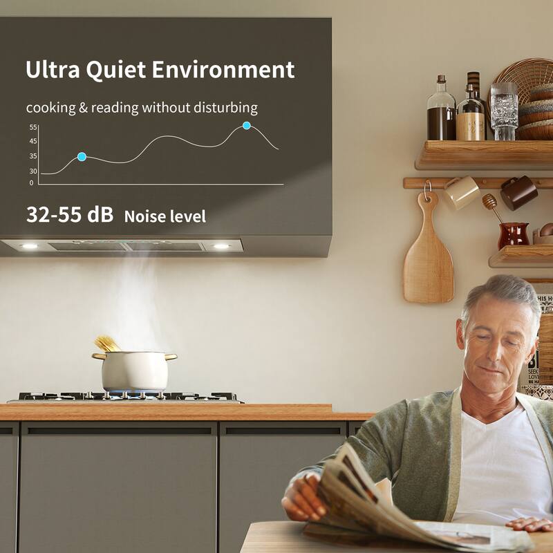 HisoHu 30/36 inch 900 CFM Ducted Insert Range Hood in Stainless Steel