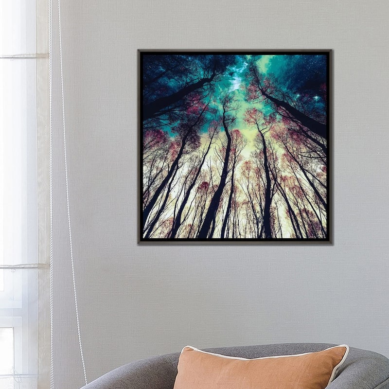 iCanvas "Nordic Lights" by Riza Peker Framed
