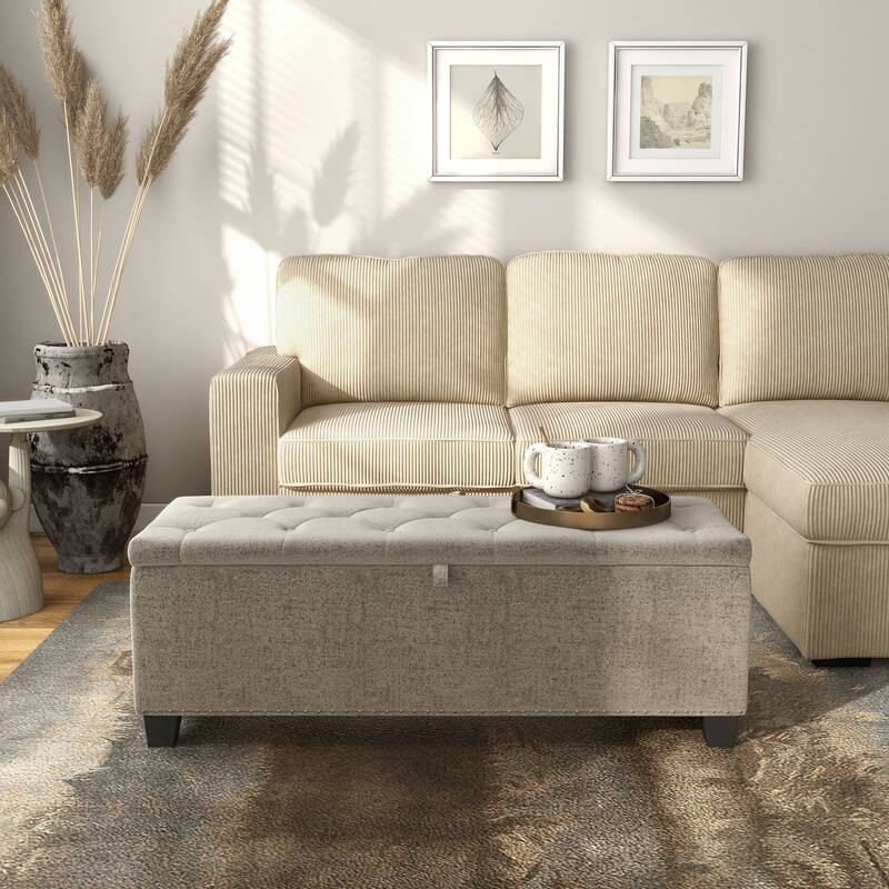DH Basic Modern Brian 48-inch Rectangular Linen Storage Ottoman Bench by Denhour