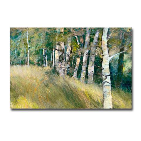 Joy of Wandering by Maureen Spinale Gallery Wrapped Canvas Giclee Art (24 in x 36 in)