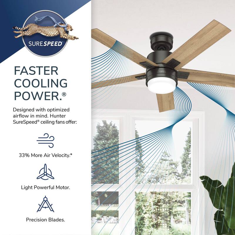 Hunter 52" Noble Bronze Ceiling Fan with LED Light Kit and Handheld Remote