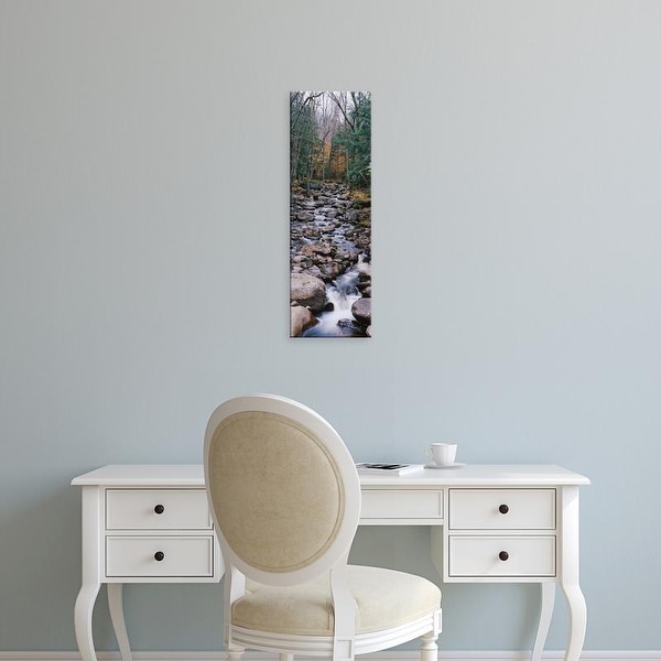Easy Art Prints Panoramic Images's 'Water flowing in the forest, Adirondack Mountains, New York State, USA' Canvas Art