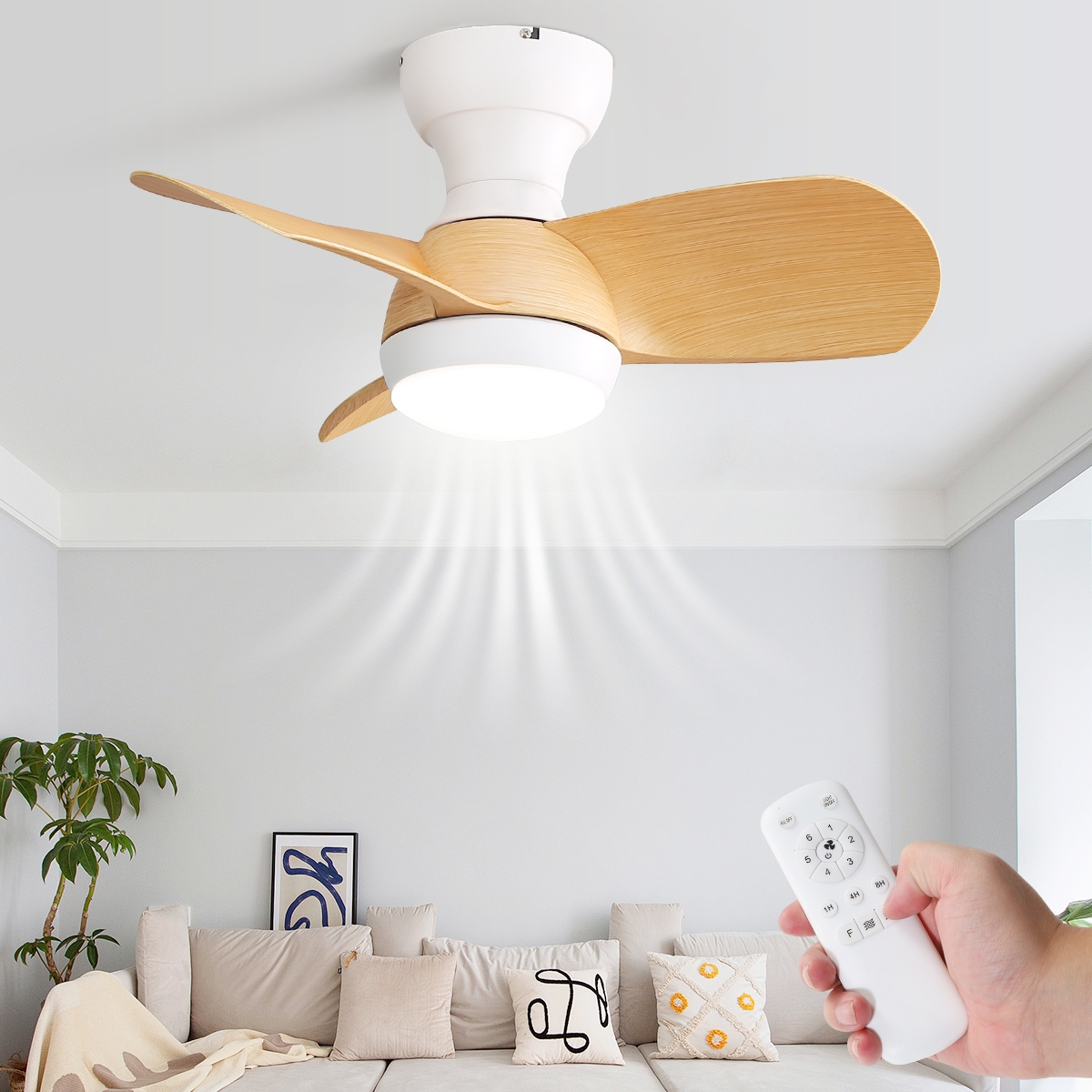 Small remote sales control fan