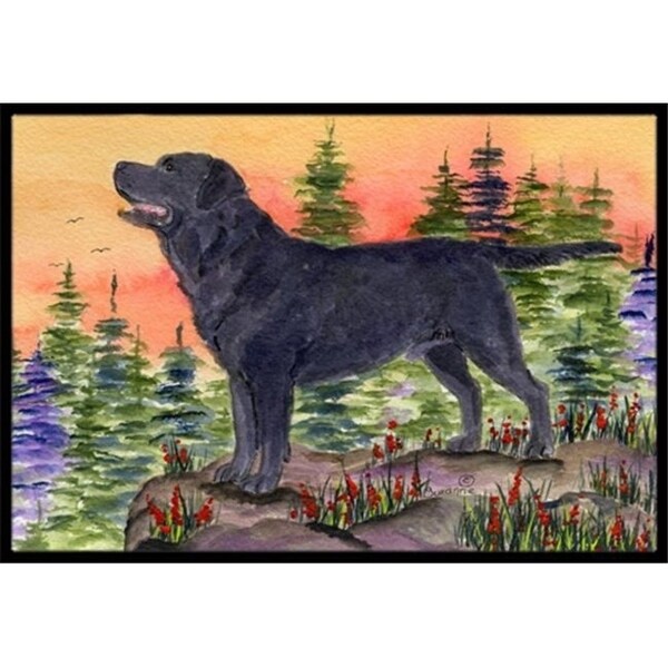 Carolines Treasures SS8624JMAT 24 x 36 in. Labrador Indoor Or Outdoor Mat