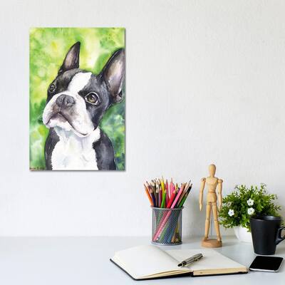 iCanvas "Boston Terrier Portrait" by George Dyachenko Canvas Print