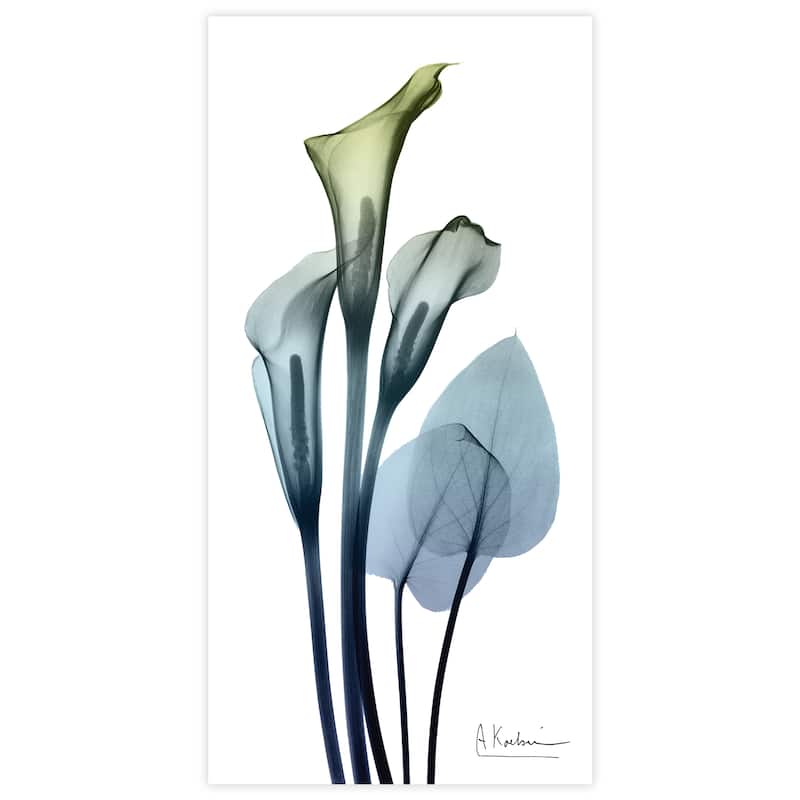 "Calia Lily" Frameless Free Floating Tempered Glass Panel Graphic Wall Art