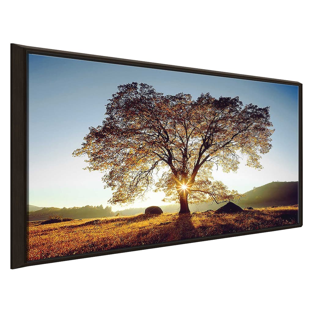 "Black Oak Sunset" Print on Floating Canvas